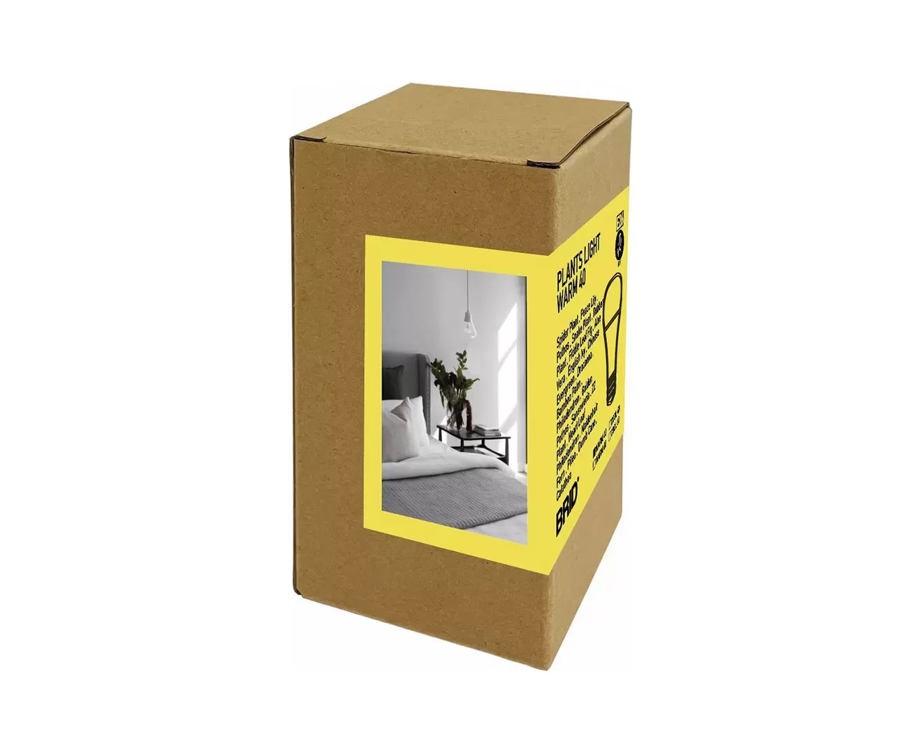 003379 PLANTS LIGHT 40 WARM