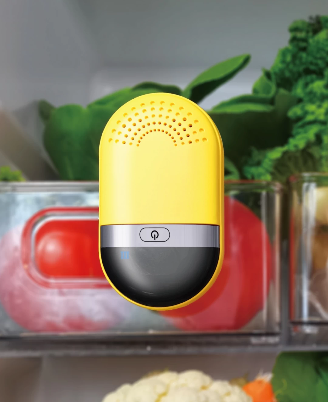 capsule deodorizer CD-01