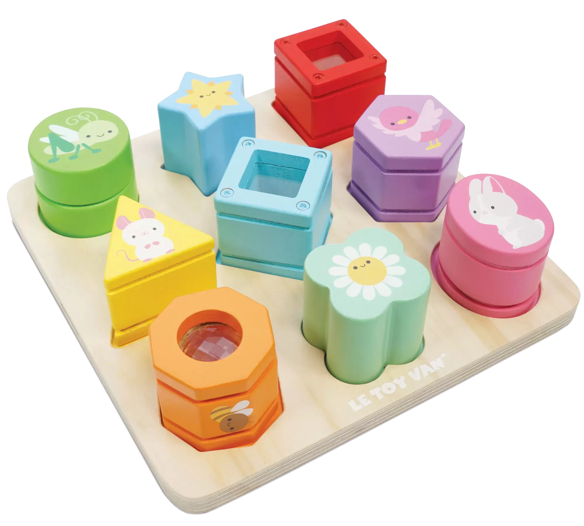 センサリーシェイプス