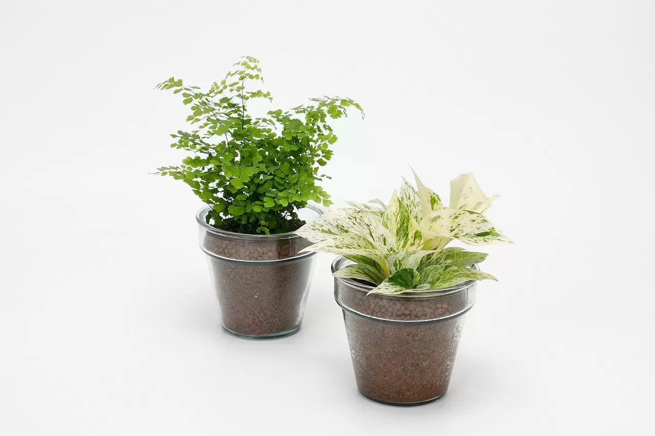 クラーロ140（ボール）