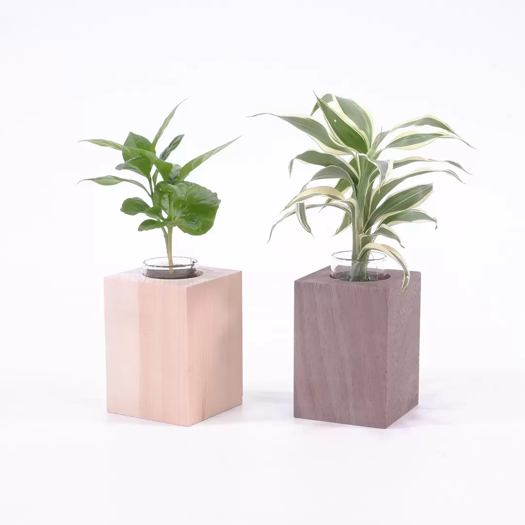 オアシスもくめ　かく