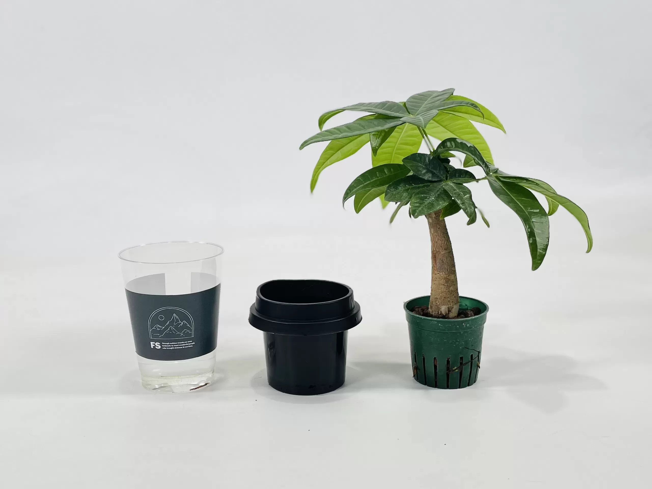 NEOカフェカップトール