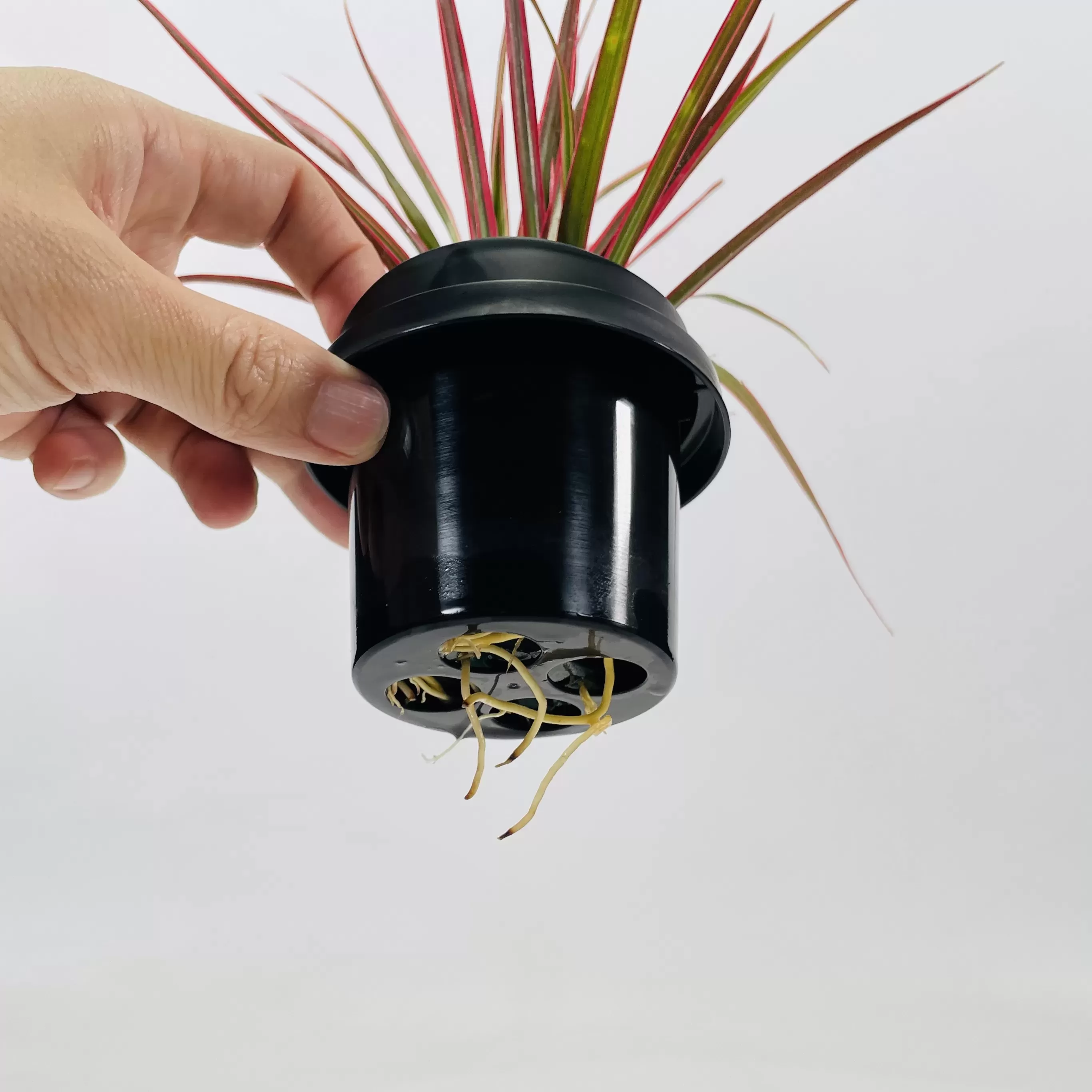 NEOカフェカップトール