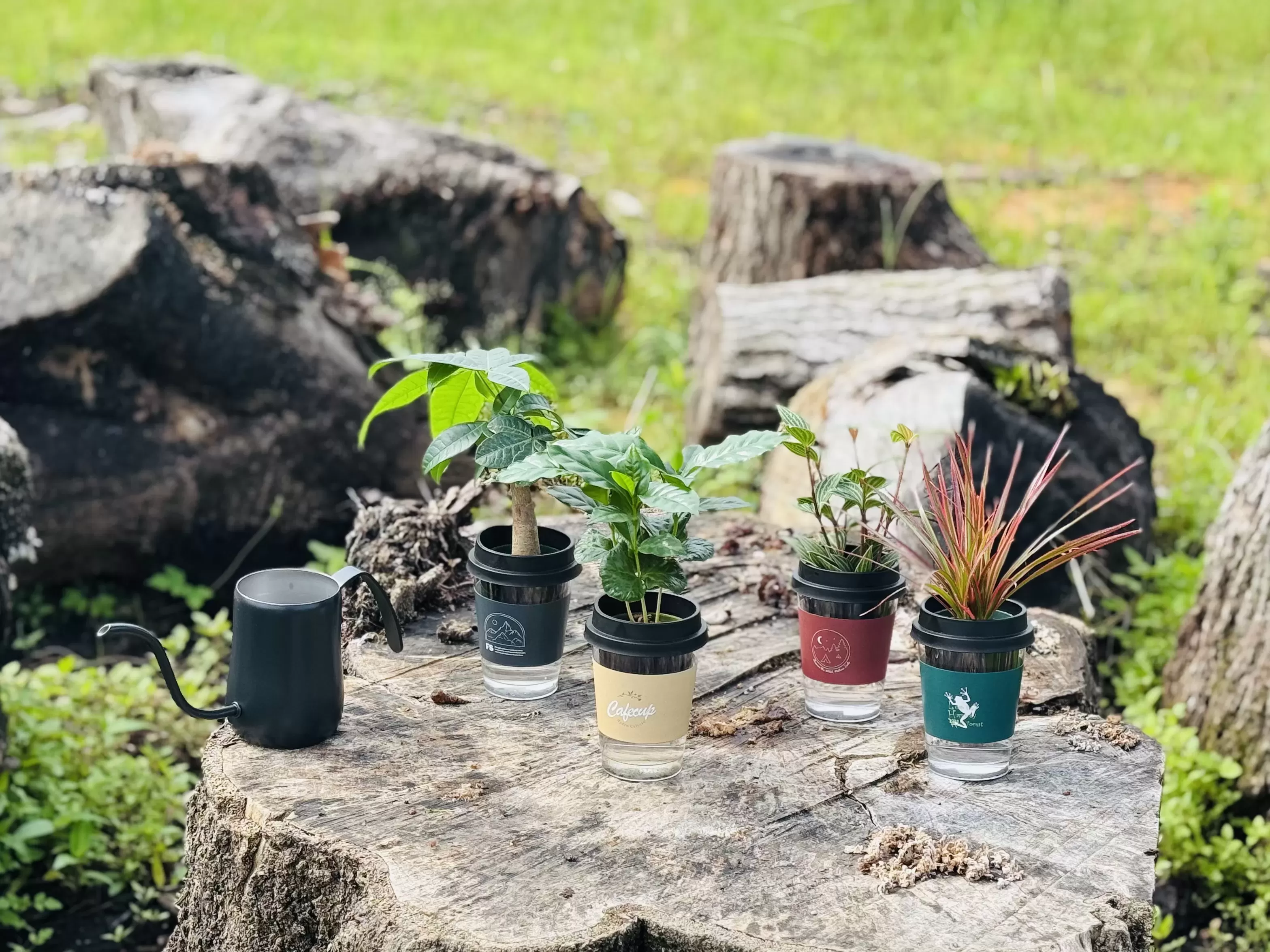 NEOカフェカップトール