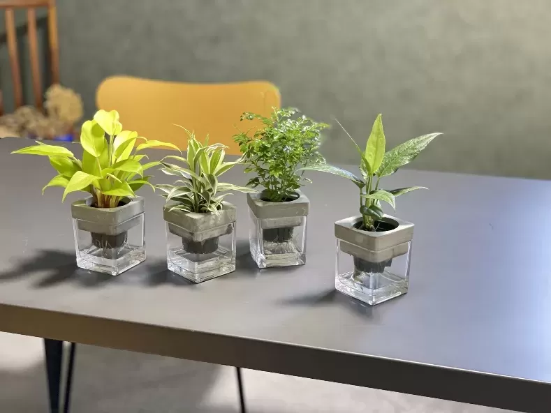 NEOモルタルキューブ