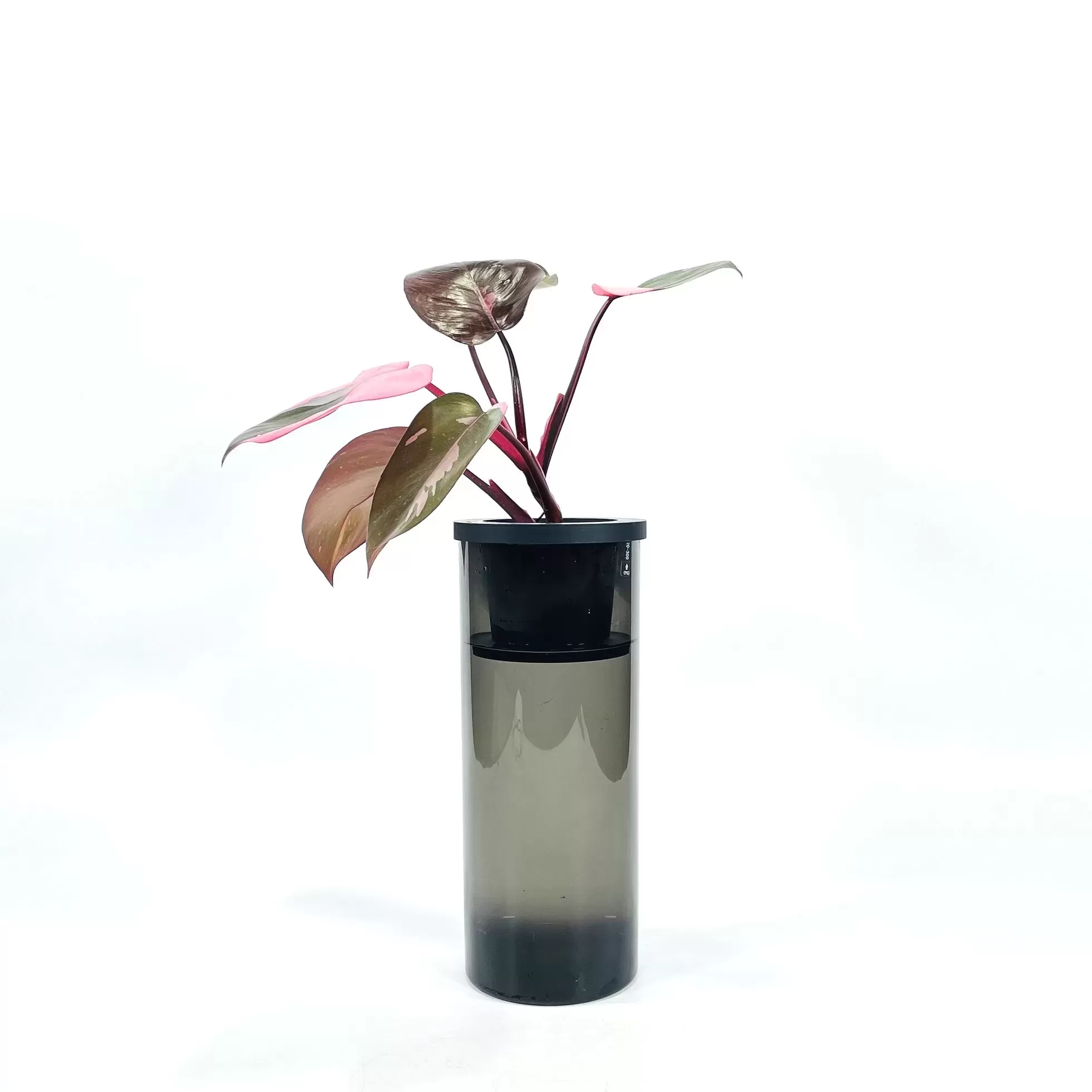 NEO PVシリンダー1230グレイ