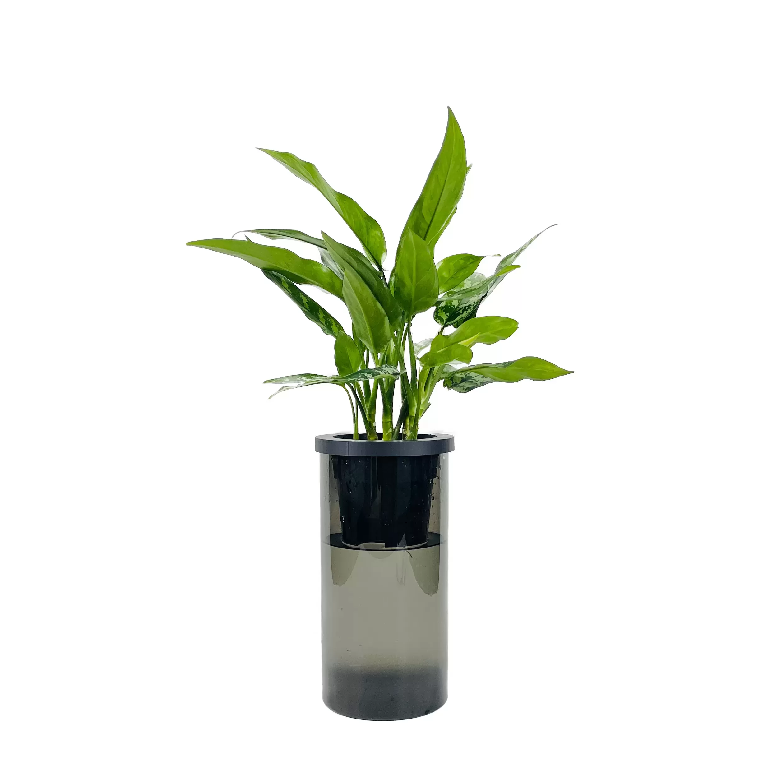 NEO PVシリンダー1530グレイ