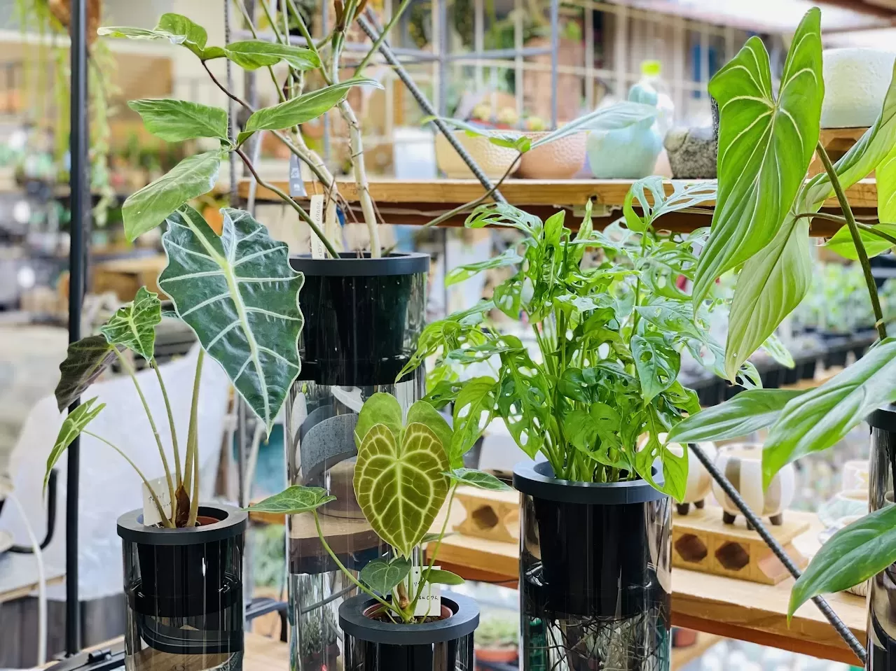 NEO PVシリンダー1550グレイ