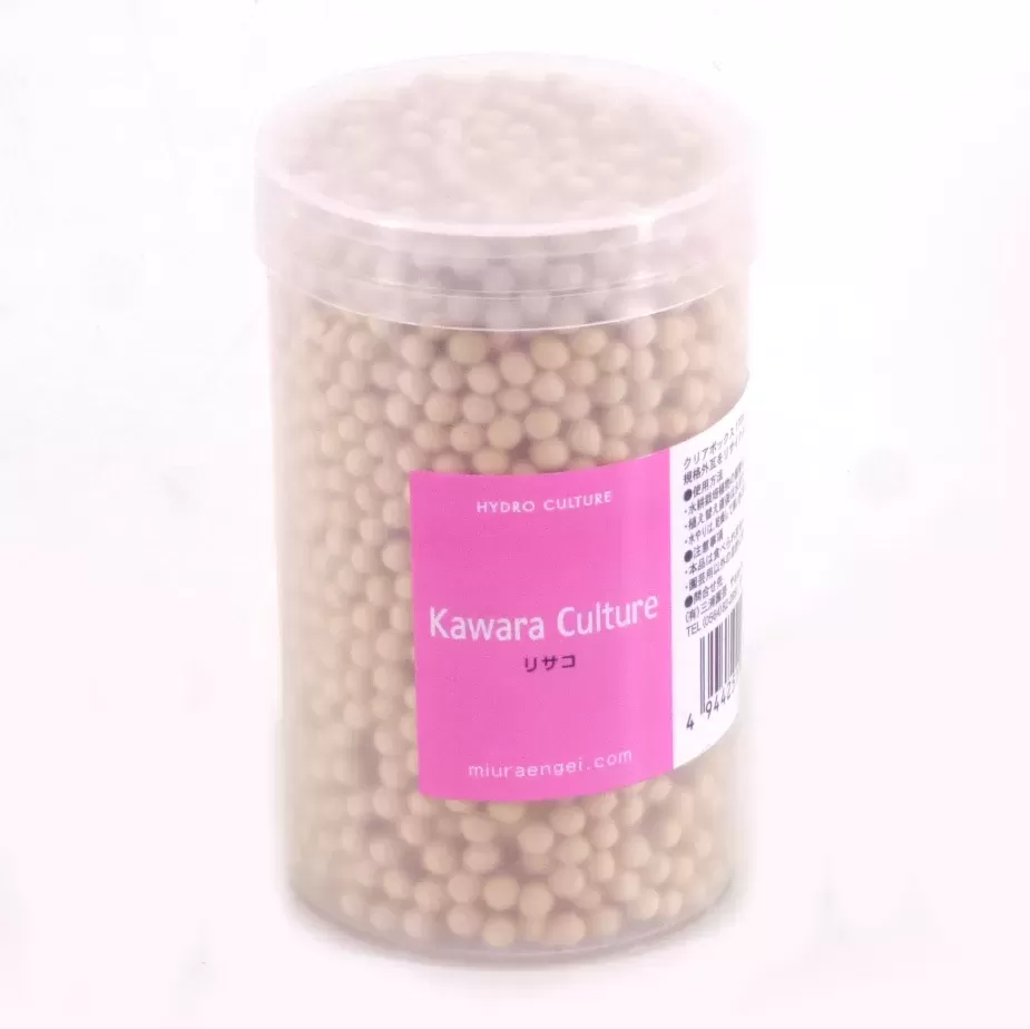 クリアBOX 170ml リサコ（クリーム）