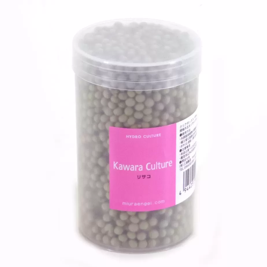 クリアBOX 170ml  リサコ（モス）