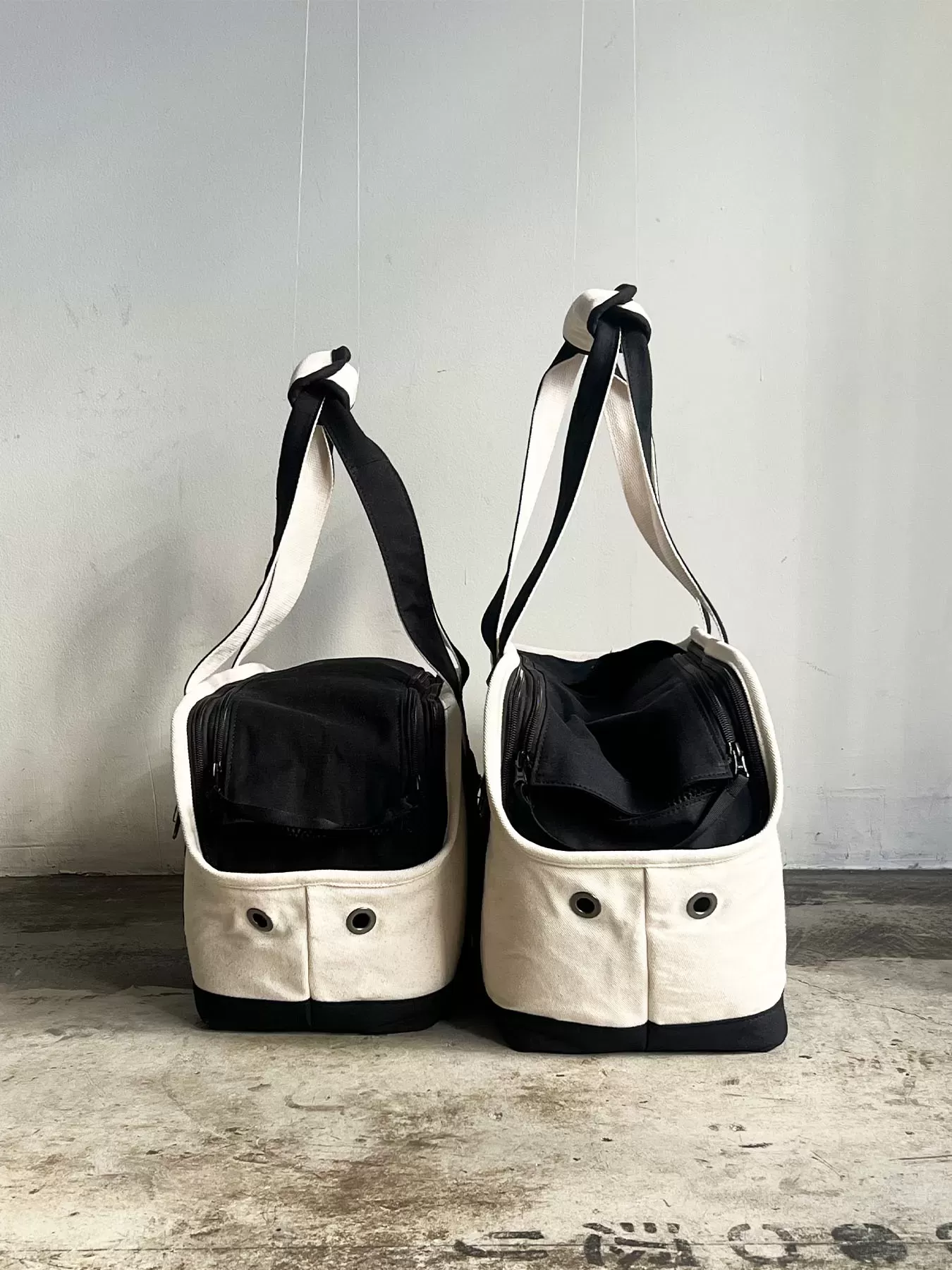 （P24004）pet carry canvas tote　L