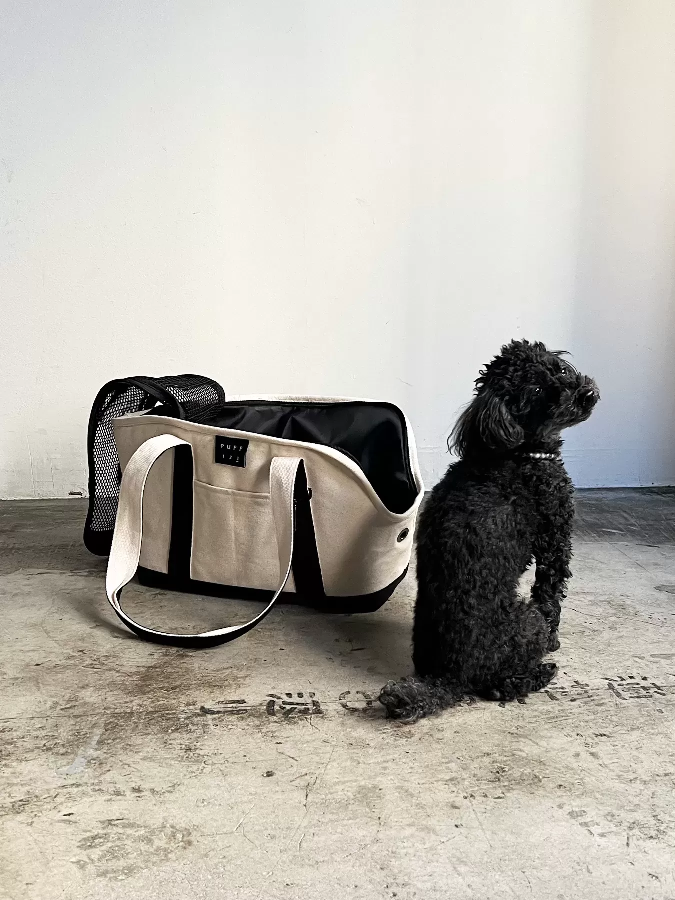 （P24004）pet carry canvas tote　L