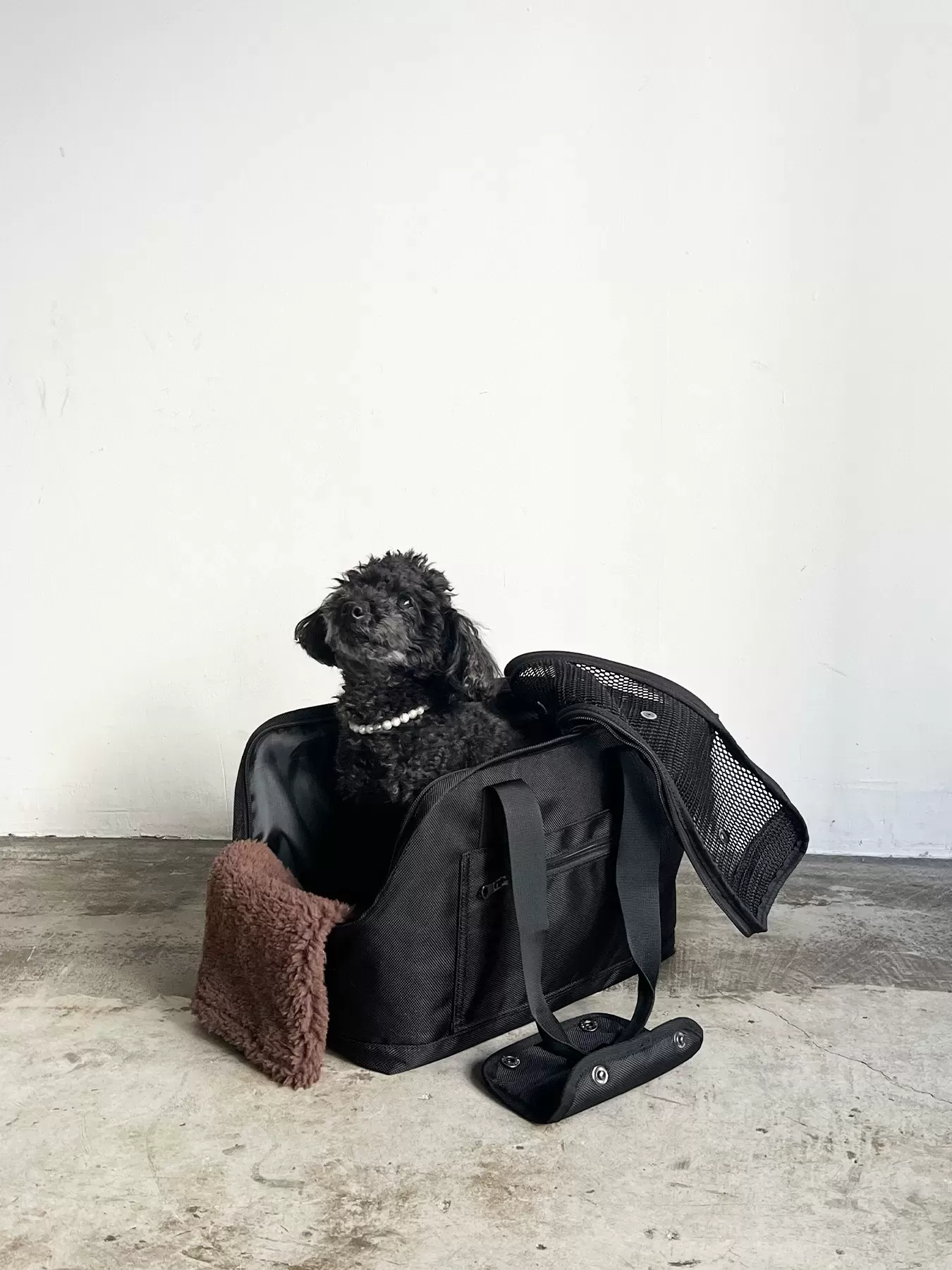 （P24003）pet carry tote　L