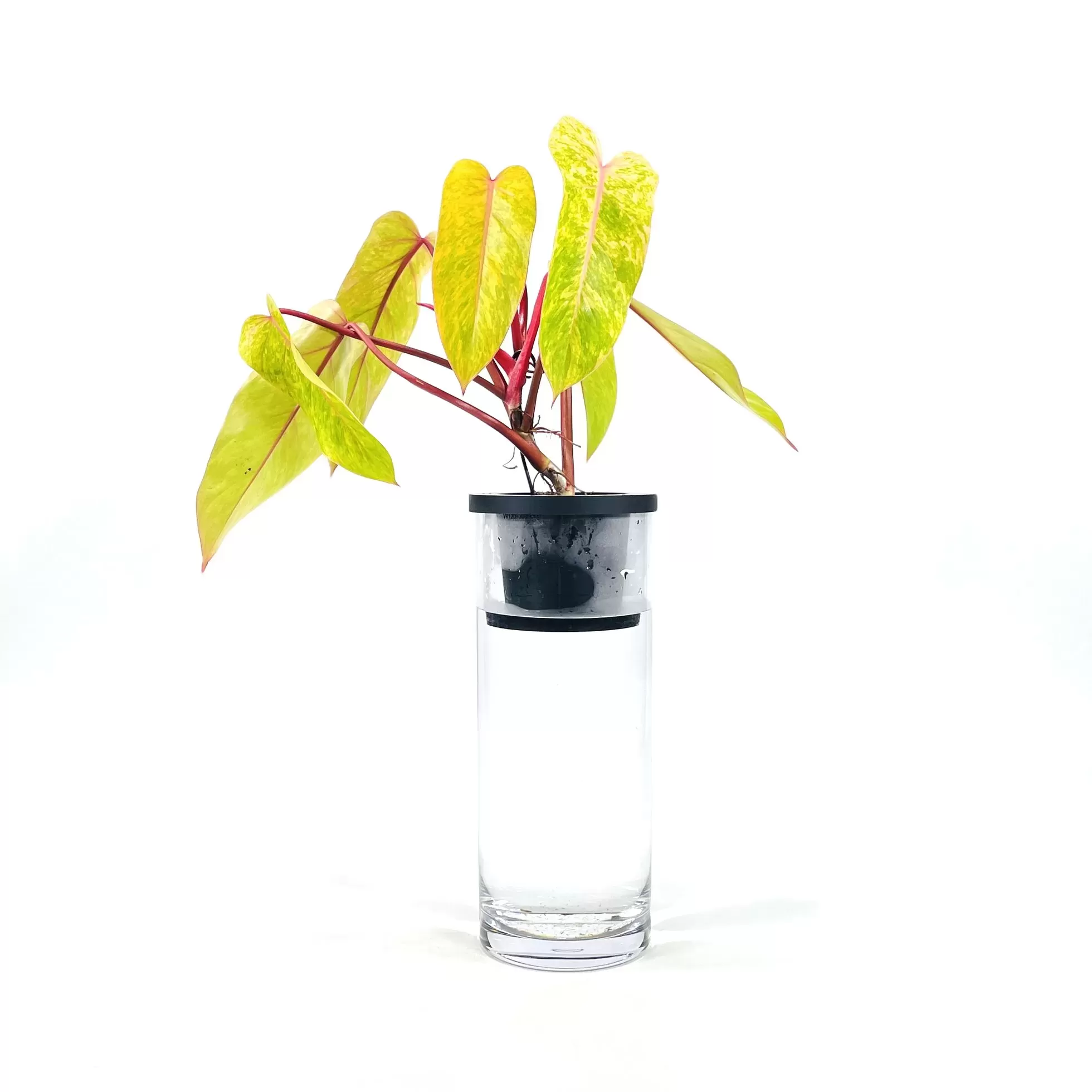 NEO PVシリンダー1230