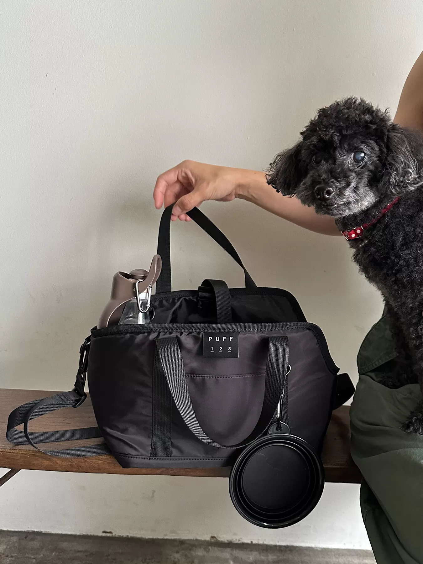 （P24009）OSANPO TOTE