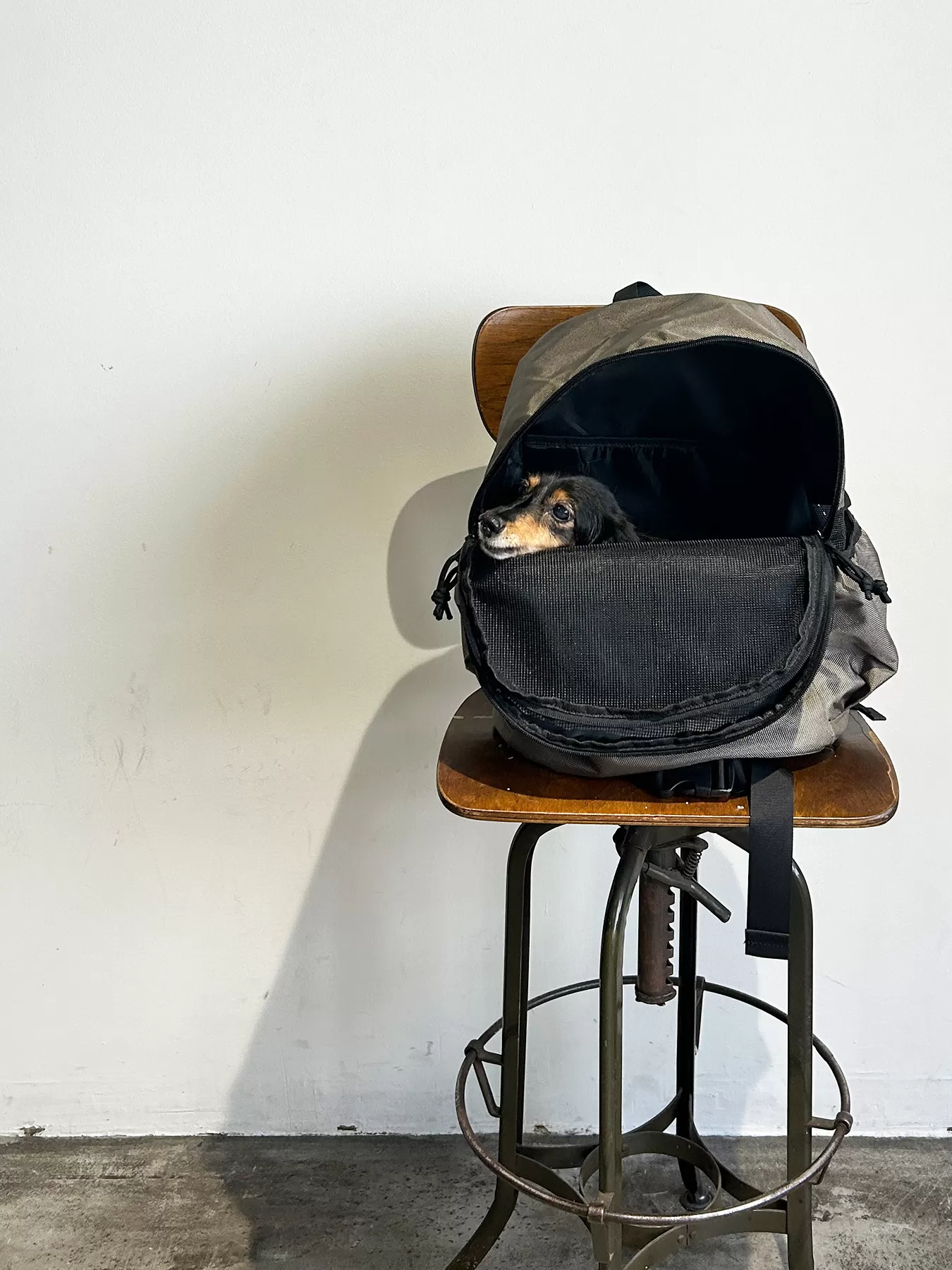 (P24005)PET CARRY BACKPACK