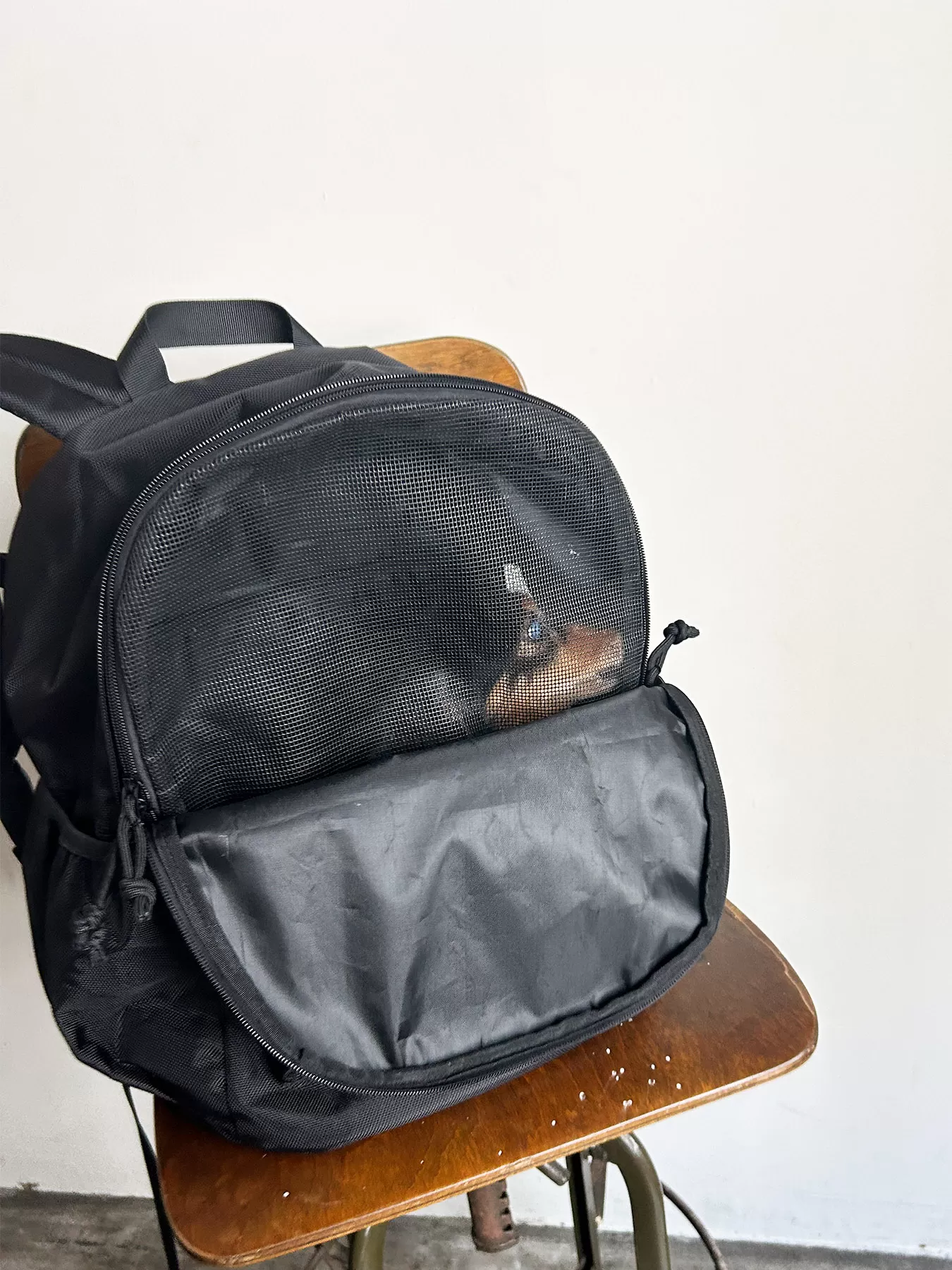 (P24005)PET CARRY BACKPACK