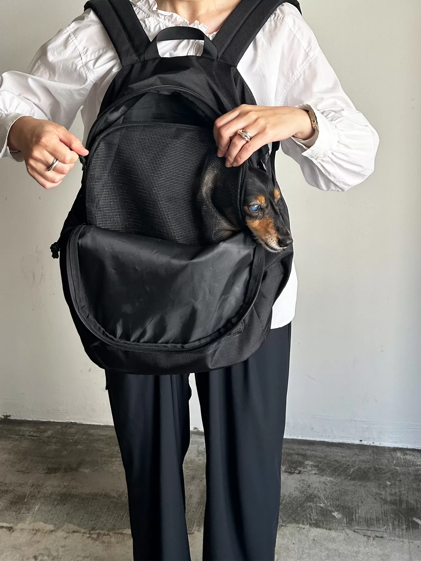 (P24005)PET CARRY BACKPACK