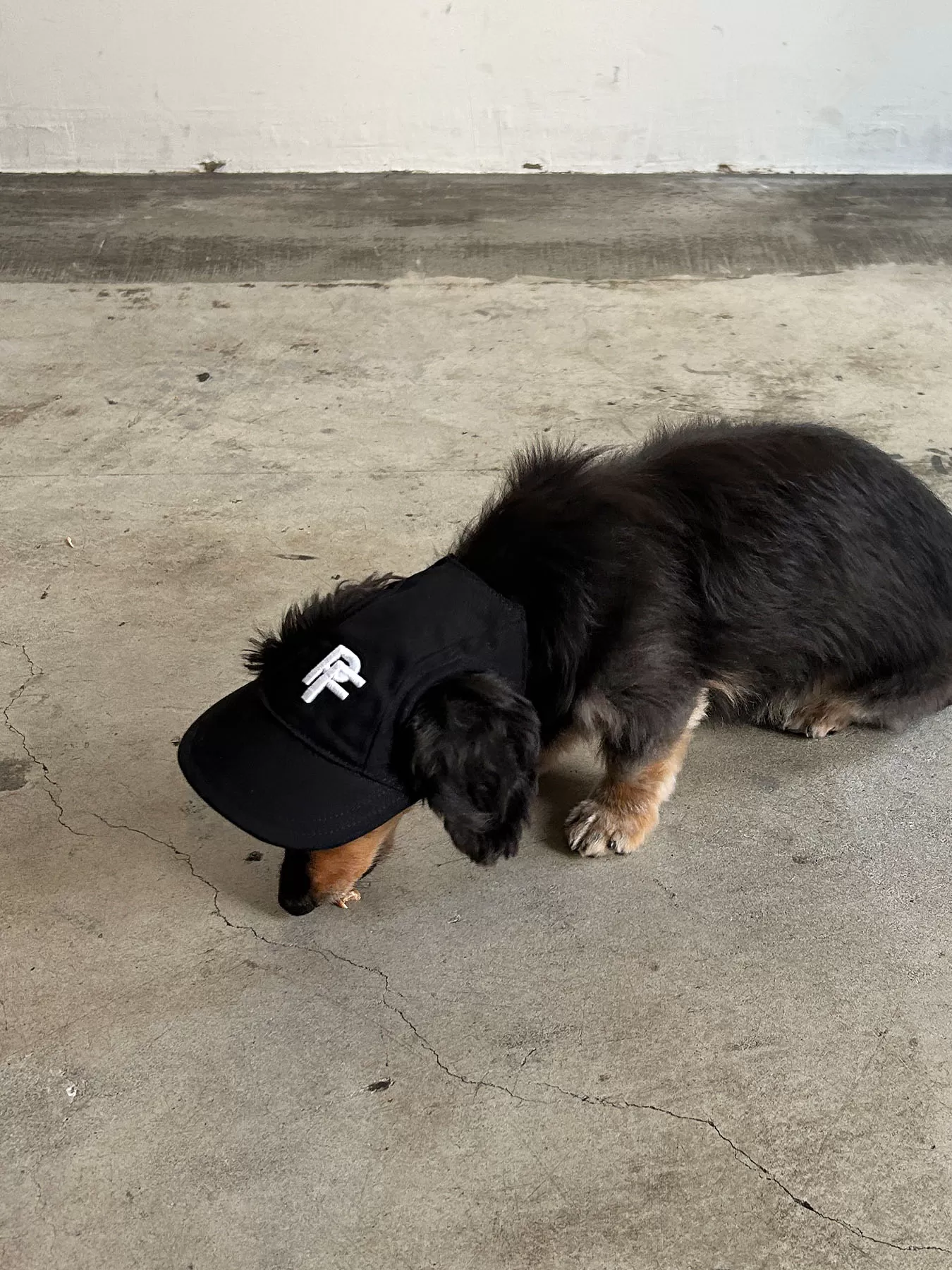 (P24007)PET CAP M