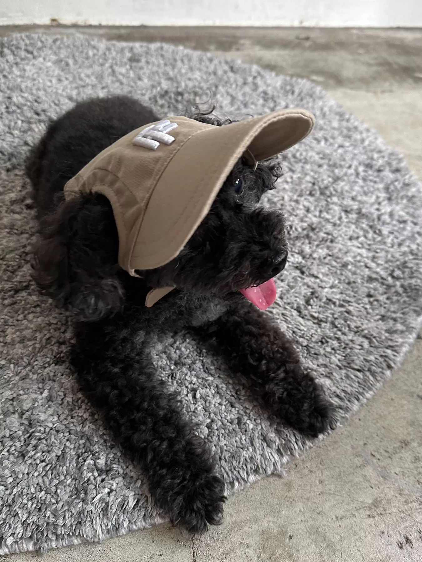 (P24007)PET CAP M
