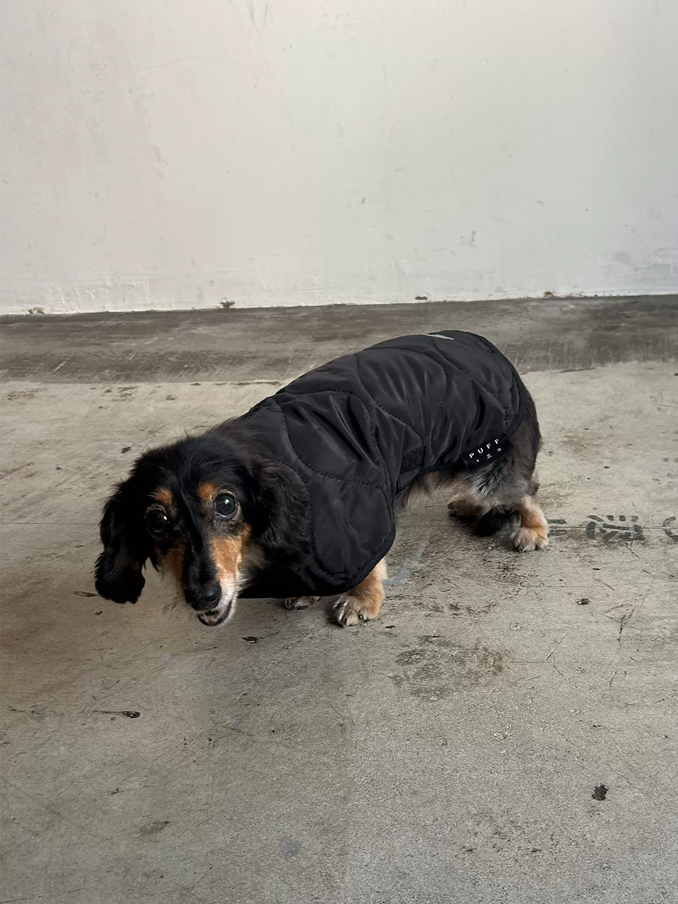 (P24008)PET QUILTING VEST