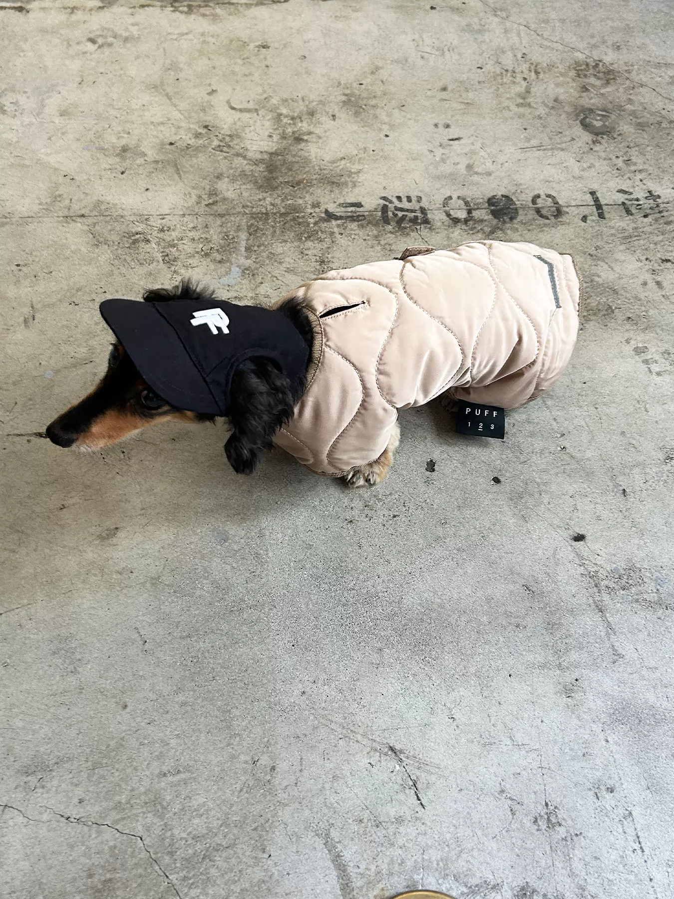 (P24008)PET QUILTING VEST