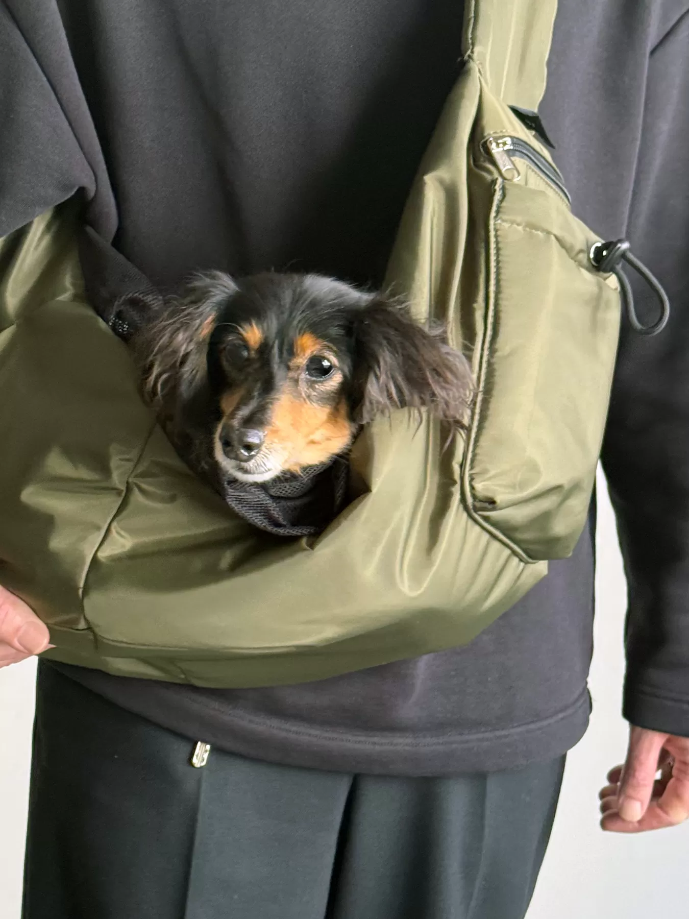 （P25001）PET PUFF SLING