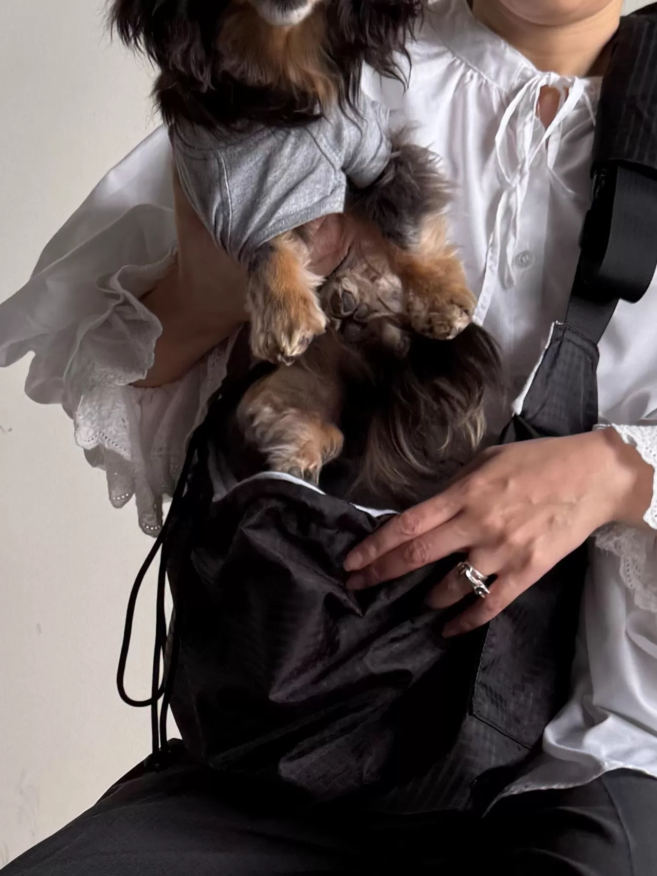 （P25002）PET REVERSIBLE SLING