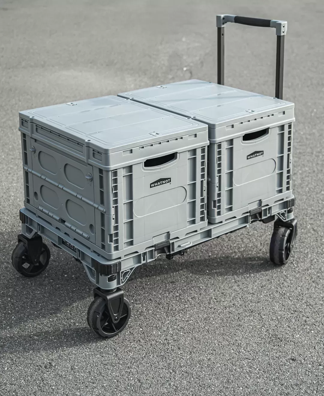 テーブルコンテナ（1個）