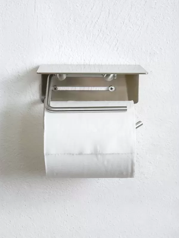 HS3800 put ペーパーホルダ ステンレス