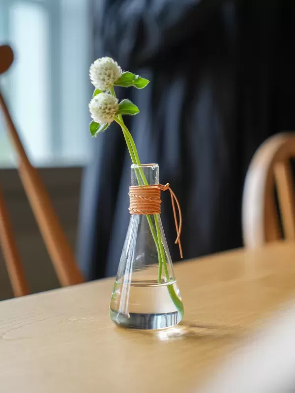 HS3675/HS3676 レザー ガラスベース コニカル クリア/グレー