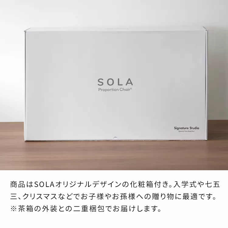 プロポーションチェア(R) SOLA（ソラ）CH-P900CK