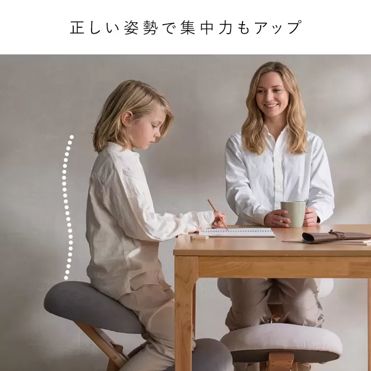 プロポーションチェア(R) SOLA（ソラ）CH-P900CK