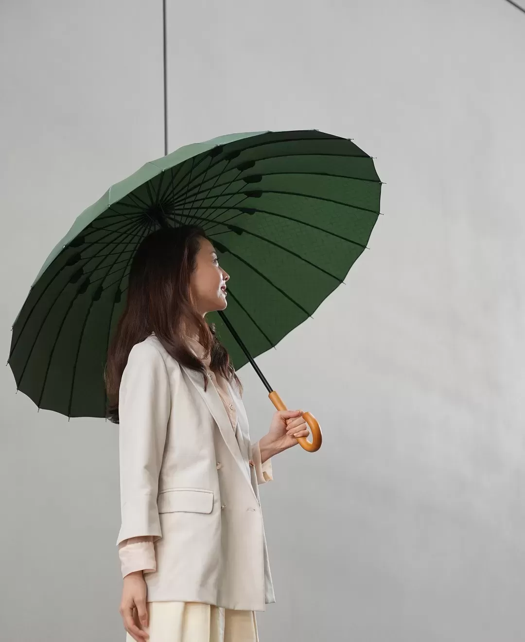 超軽量24本骨傘 江戸