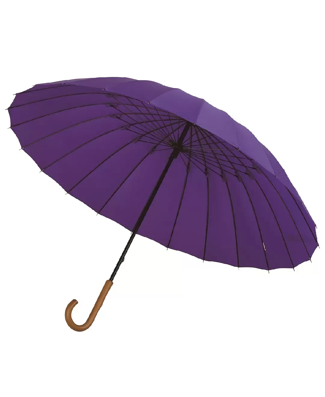 超軽量24本骨傘 江戸