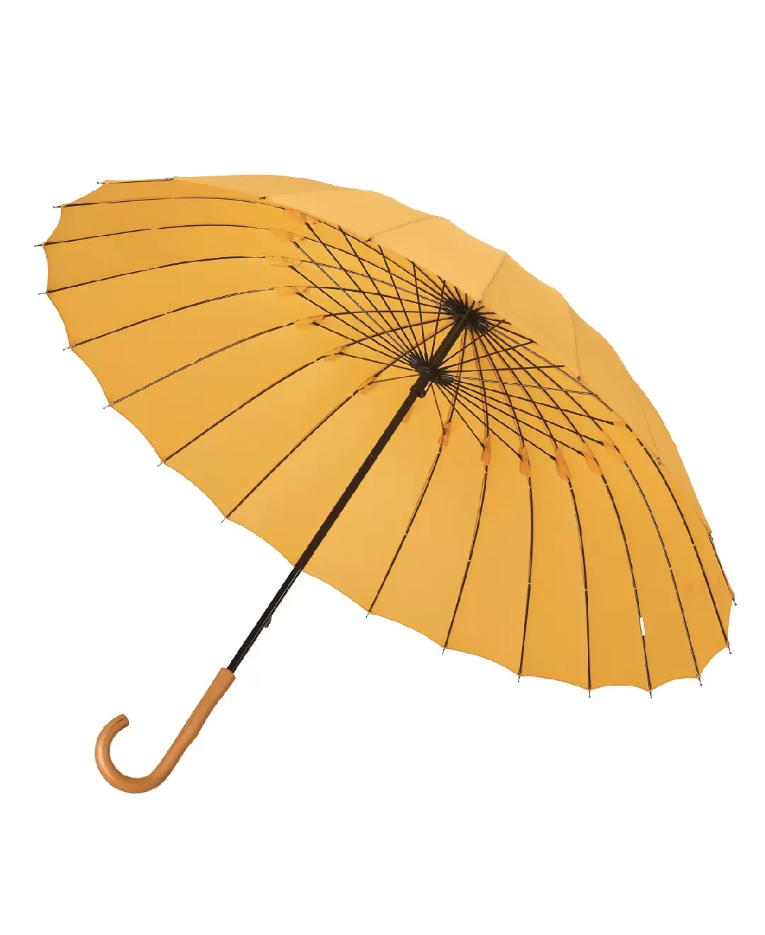 超軽量24本骨傘 江戸