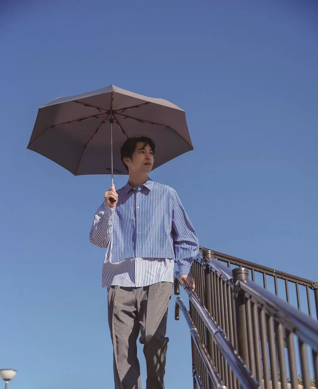 ストレングスミニR