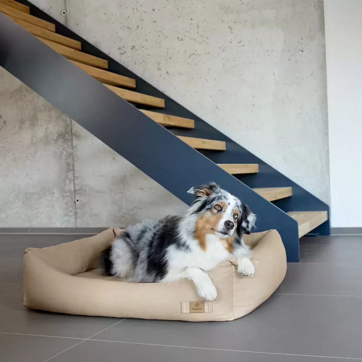 【夏・冬両用】犬用コットンベッド