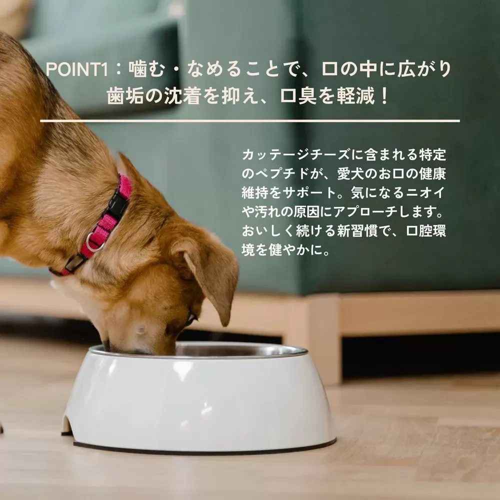 犬用デンタルチャコール
