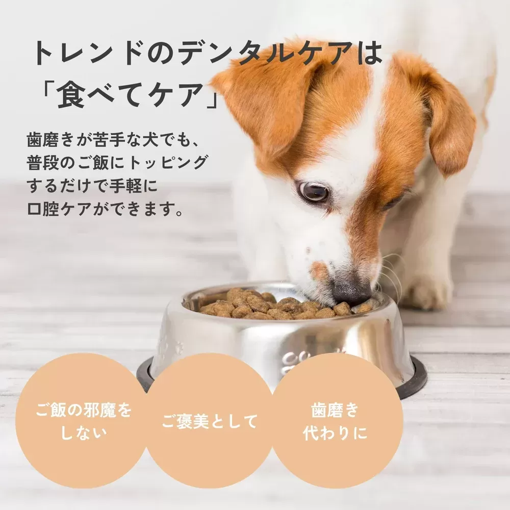 犬用デンタルチャコール