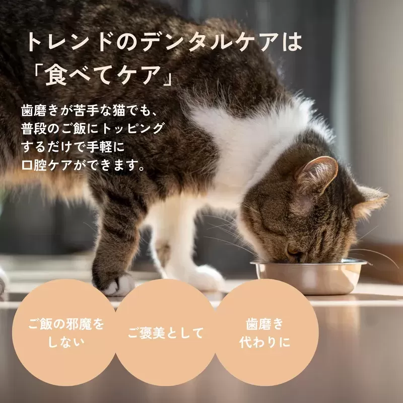 猫用デンタルチャコール