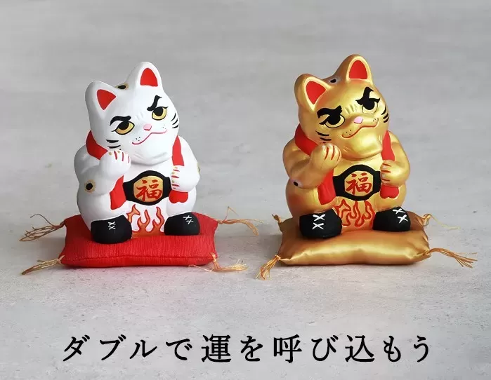 来いや猫・金