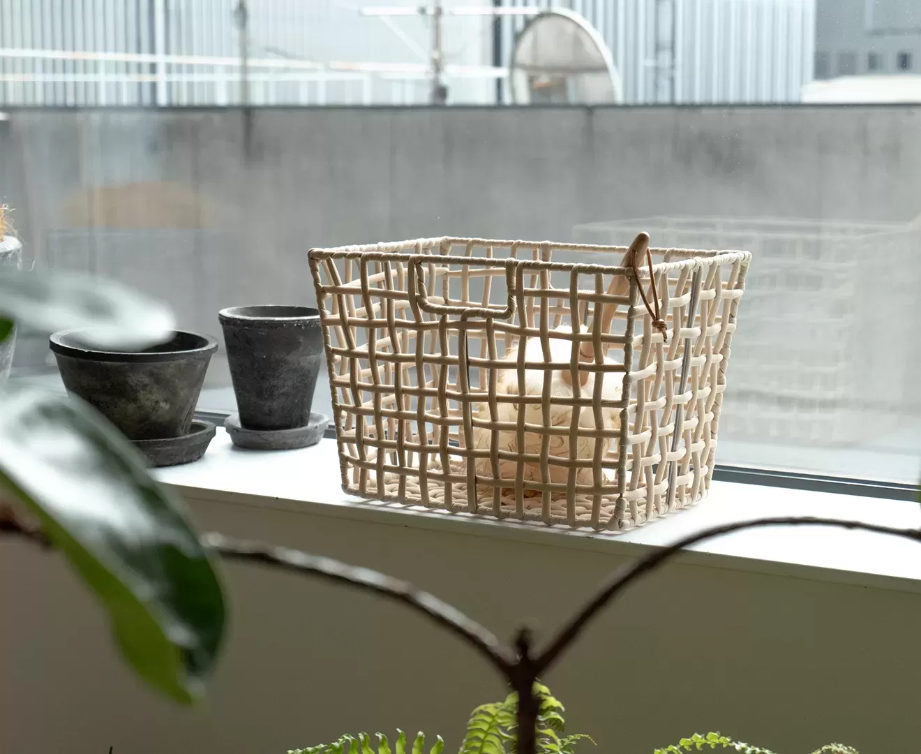 003420 ROUGH KNIT BASKET WIDE L