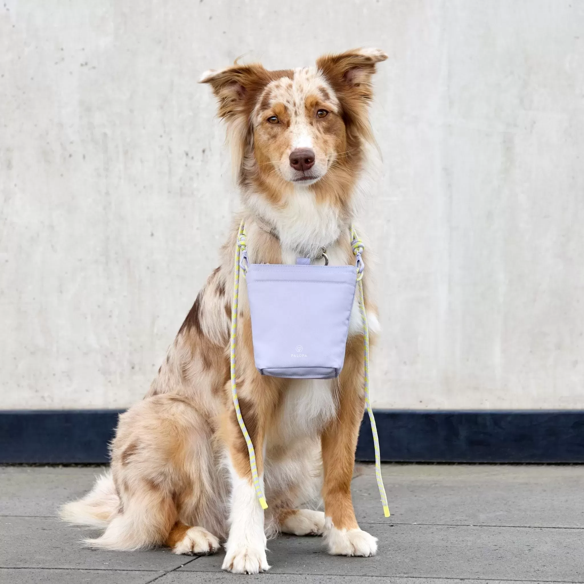 Dog Snack Bag Karl