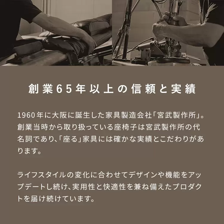 回転ソファ座椅子 IZU（イズ）Lサイズ YS-800L
