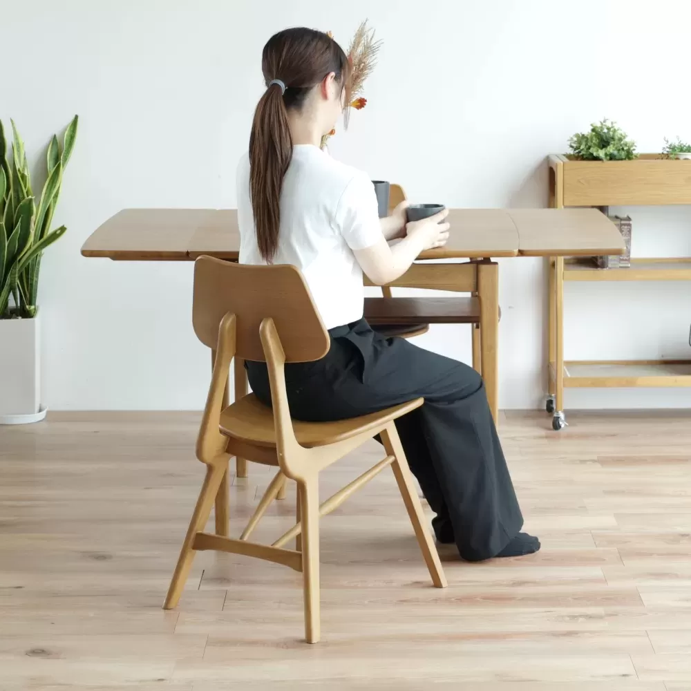 Rasic Extension Dining Table