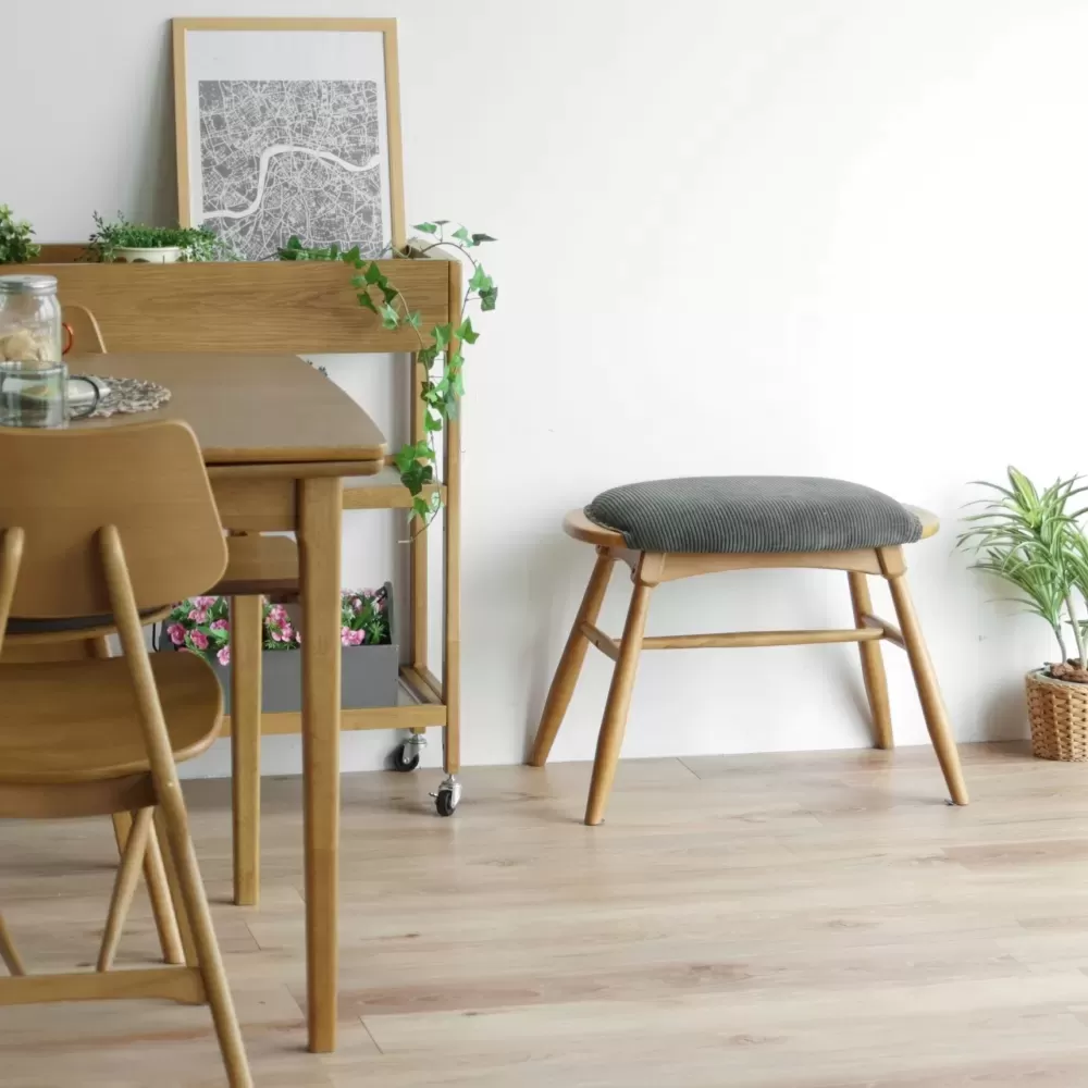 Rasic Multi Stool KH