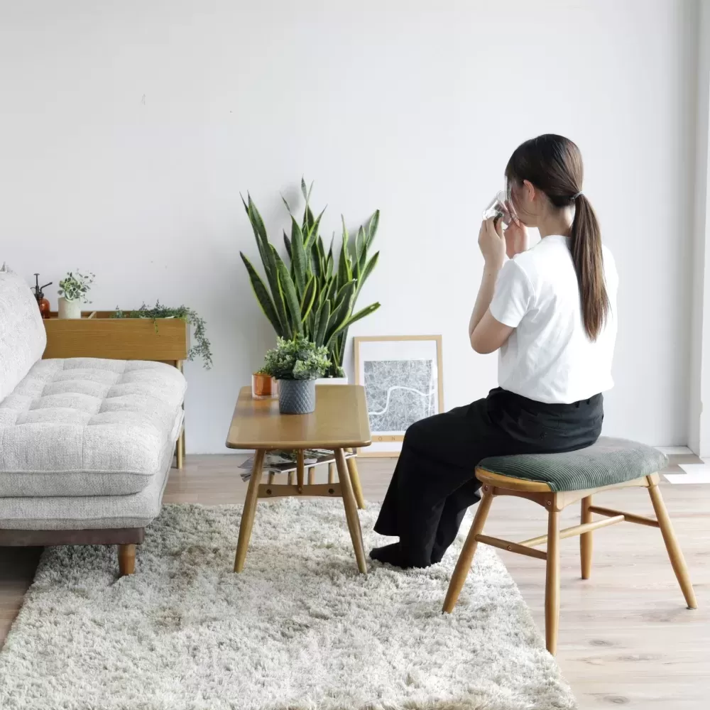 Rasic Multi Stool KH