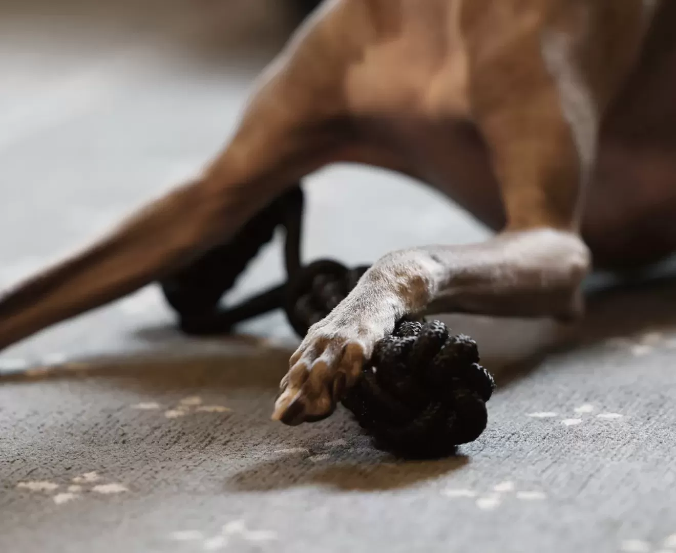 Tough Tug