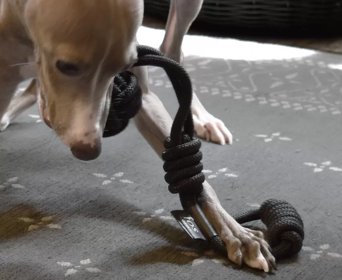 Tough Tug